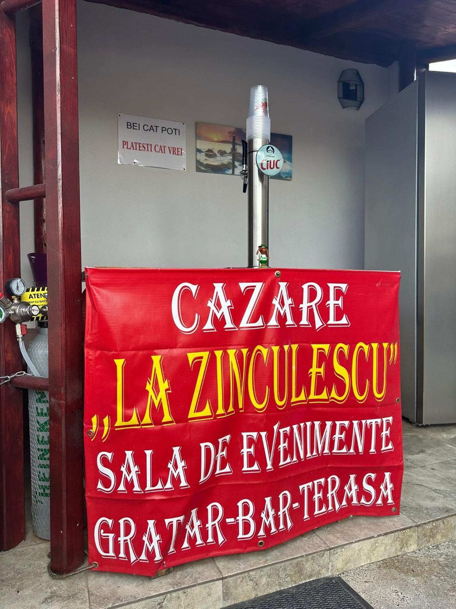 Отель La Zinculescu Albestii Paminteni Экстерьер фото